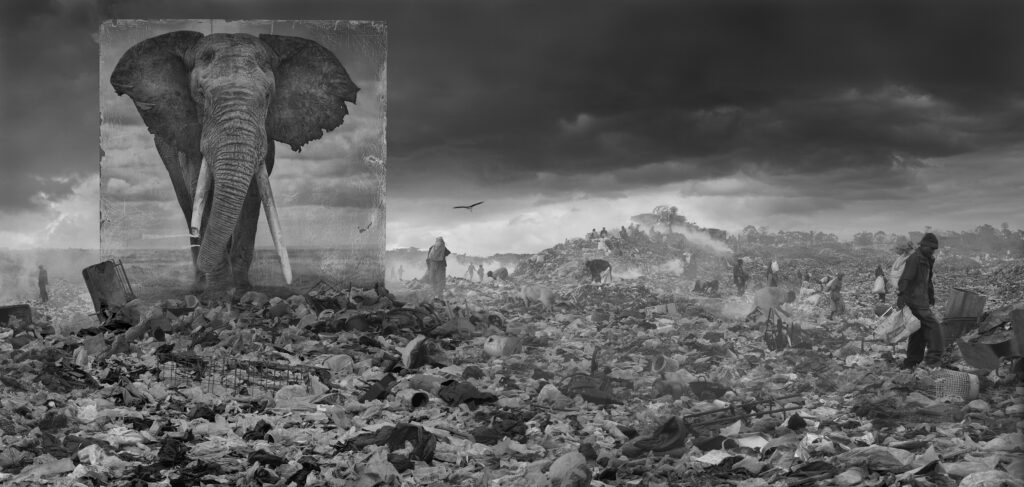 Inherit the Dust ‒ Nick Brandtin valokuvia Kansallismuseossa 1.9.2019 asti