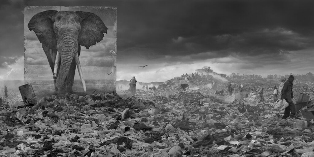 CLOSED: Inherit the Dust – Photographs by Nick Brandt