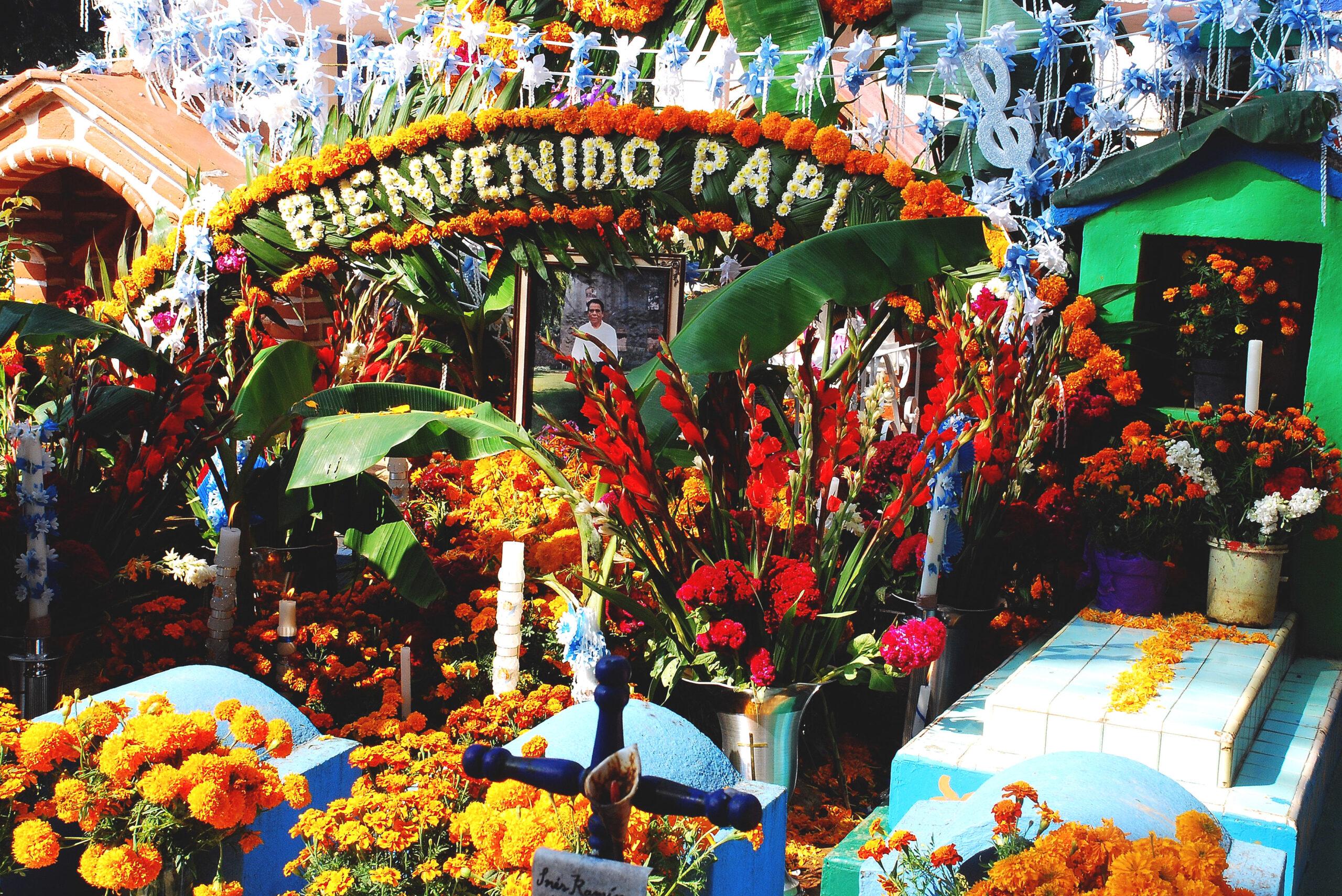 La Bienvenida De La Serie De Visita Al Panteon