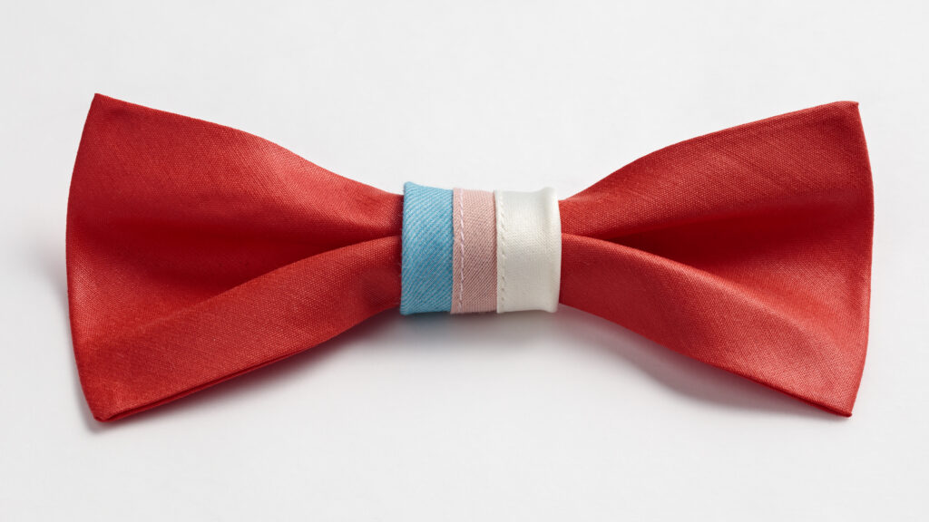 Transpride-solmuke – karnevaaliasuste ja kannanotto ihmisoikeuksien puolesta