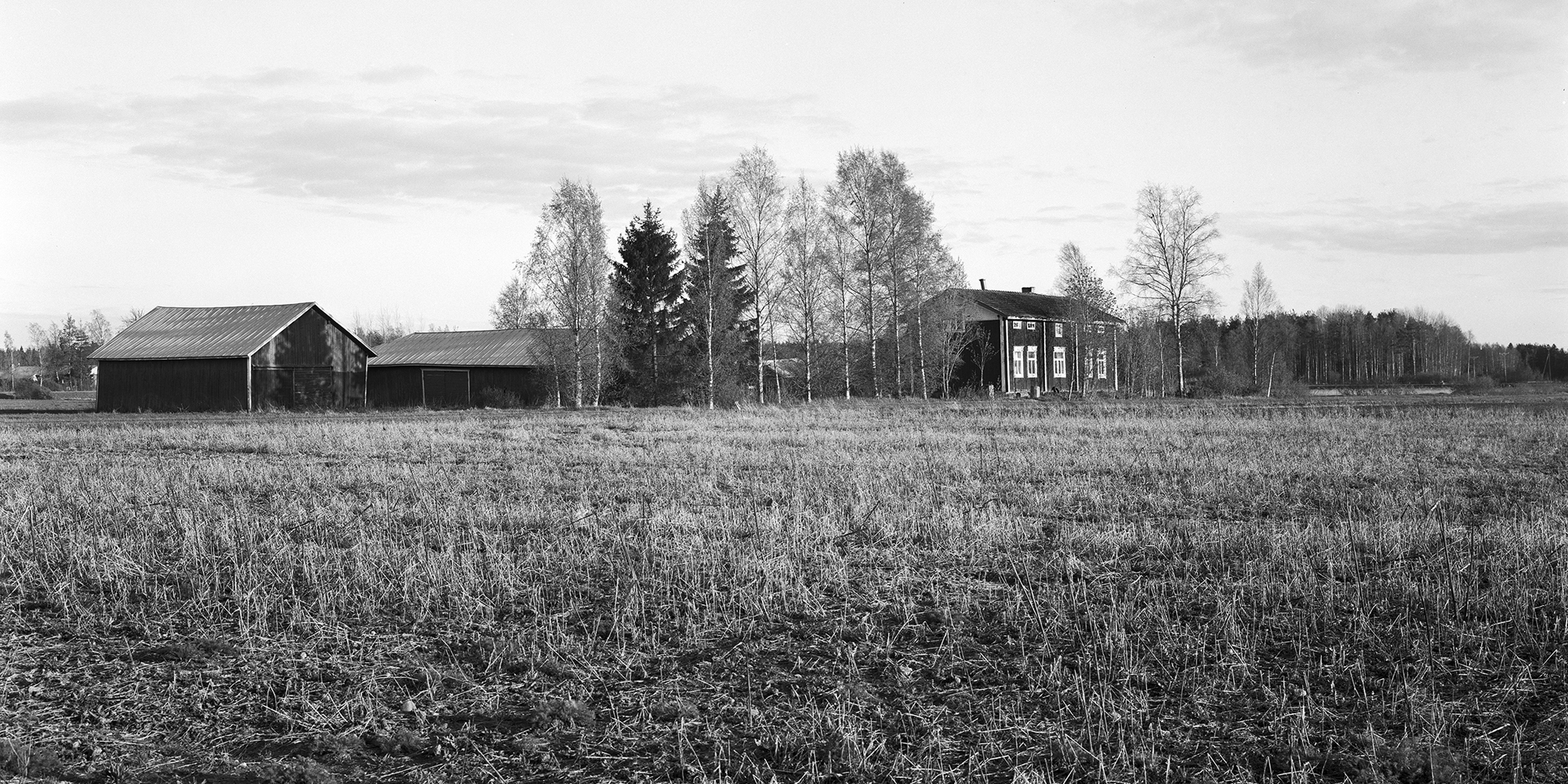 Overmark Landskab