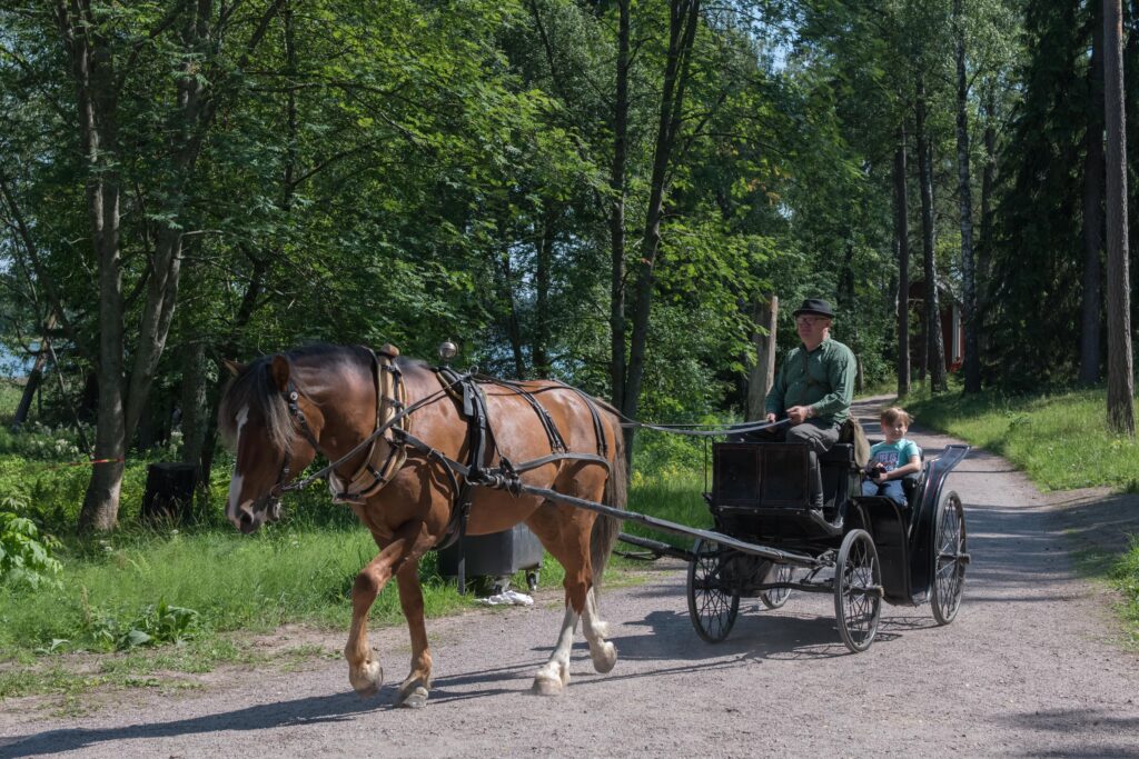 Hevosajelua ja poniratsastusta