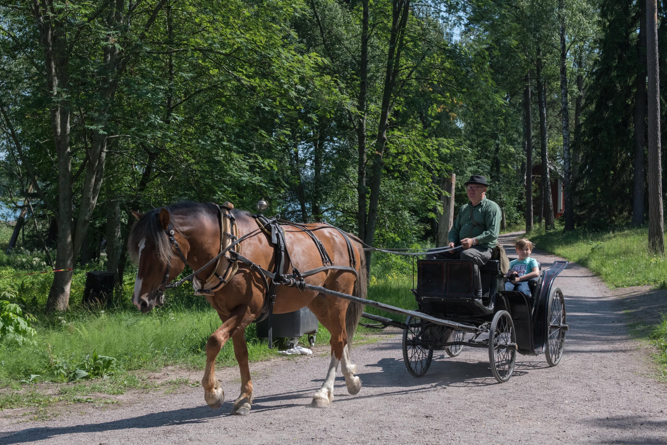 Seurasaari Tapahtumat Lapset Hevonen Hevosajelu