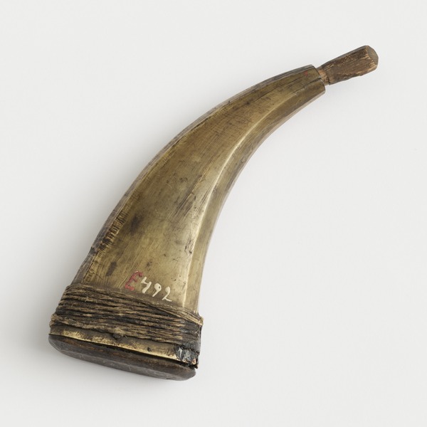Ruutisarvi