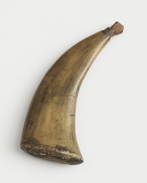Ruutisarvi