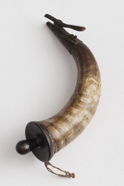 Ruutisarvi