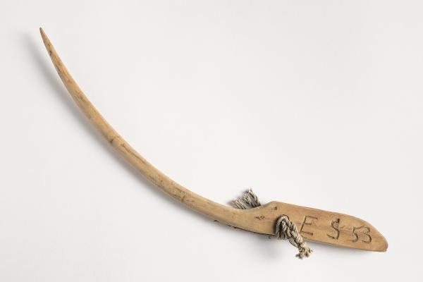 Puikkari