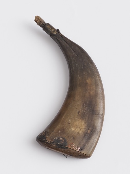 Ruutisarvi