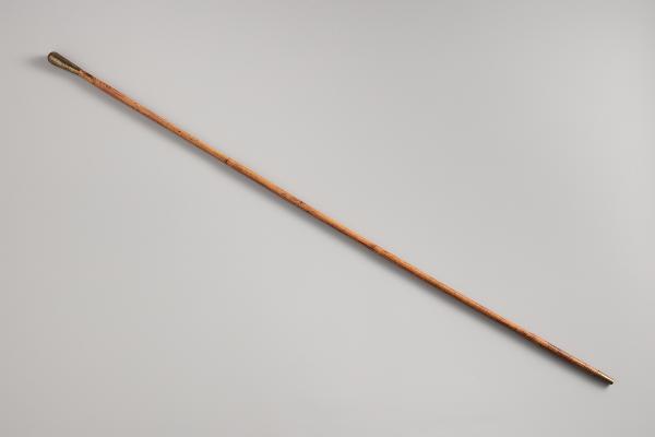 Kamelinajosauva