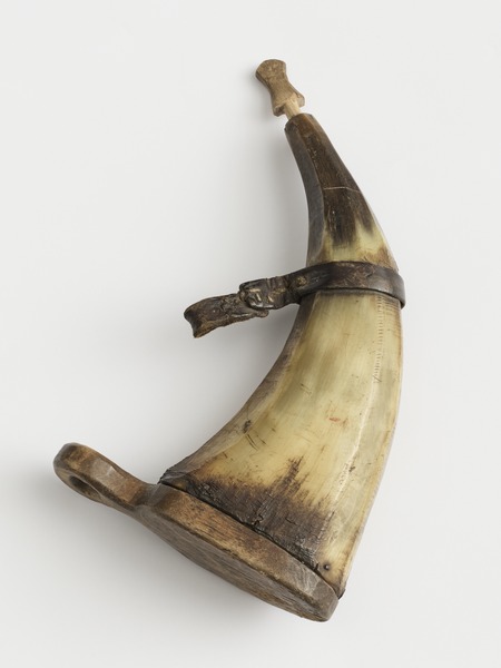 Ruutisarvi